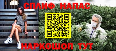 гашик Аргун